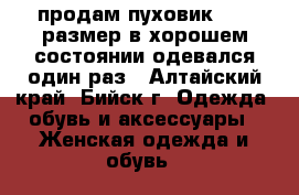 продам пуховик 42-44размер в хорошем состоянии.одевался один раз - Алтайский край, Бийск г. Одежда, обувь и аксессуары » Женская одежда и обувь   